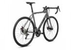 ACCENT FALCON GRAU 2022 – Bild 2